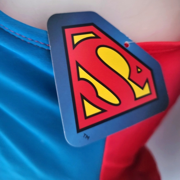 SUPERGIRL Costume - Picture 4 of 8